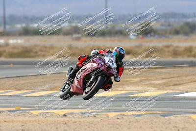 media/Feb-08-2025-CVMA (Sat) [[fcc6d2831a]]/Race 10-Supersport Open/